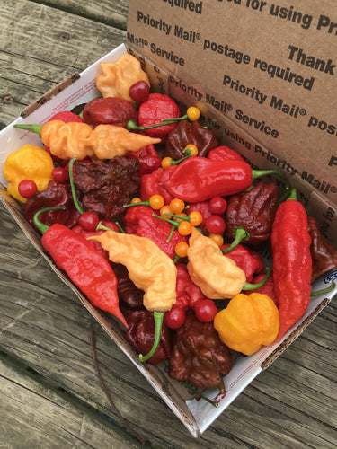 Small flat rate box of mixed hot and superhot peppers
