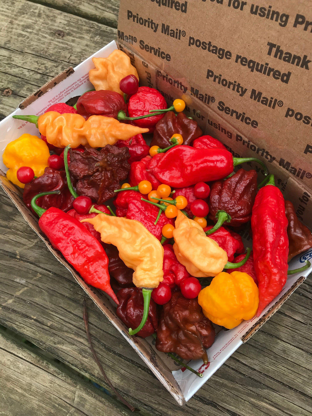 Mixed hot and superhot peppers SFRB only (labeled)